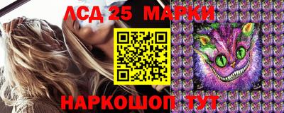 гидропоника Краснознаменск
